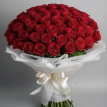Букет 101 Красная роза Блэк Мэджик #REPLACE_PRED# Берёзовке Алтайского края