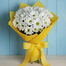 Букет цветов из:  Хризантемы в Берёзовке Алтайского края