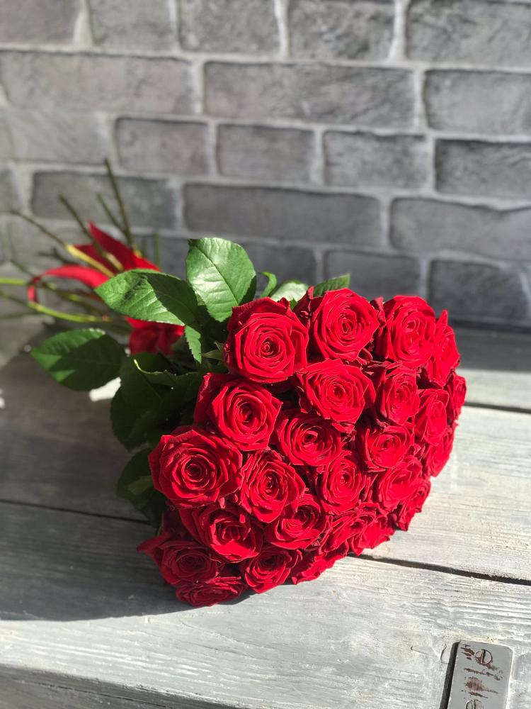 Букет Красные розы Фридом в Берёзовке Алтайского края