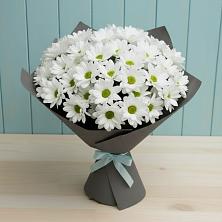 Букет цветов из:  Хризантемы в Берёзовке Алтайского края