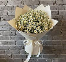 Букет цветов из:  Ромашки #REPLACE_PRED# Берёзовке Алтайского края