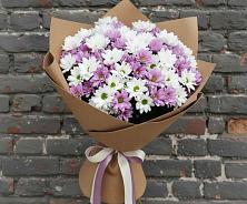 Букет цветов из:  Хризантемы в Берёзовке Алтайского края