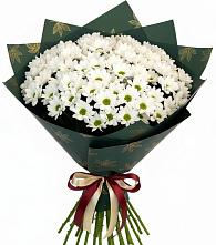 Букет цветов из:  Хризантемы в Берёзовке Алтайского края