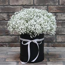 Цветочная композиция из Гипсофила в шляпной коробке в Берёзовке Алтайского края