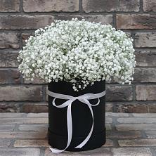 Цветочная композиция из Гипсофила в шляпной коробке в Берёзовке Алтайского края