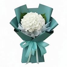Букет цветов из:  Гортензия в Берёзовке Алтайского края